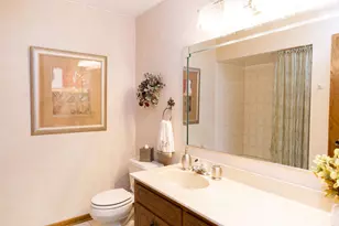 8310 Ashley Ln, Tinley Park, IL 60477 - Photo 32