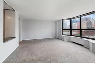 899 S Plymouth Ct, Chicago, IL 60605 - Photo 10
