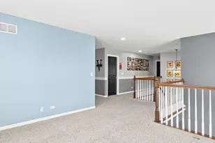 4075 Conifer Dr, Elgin, IL 60124 - Photo 20