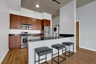 1620 S Michigan Ave, Chicago, IL 60616 - Photo 10