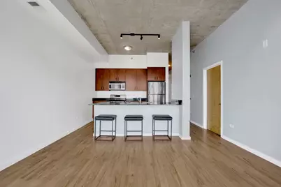 1620 S Michigan Avenue #514, Chicago, IL 60616 - Photo 8