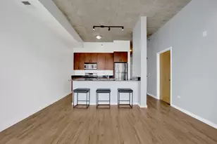 1620 S Michigan Ave, Chicago, IL 60616 - Photo 8