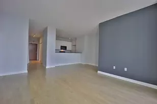 233 E 13th St, Chicago, IL 60605 - Photo 4