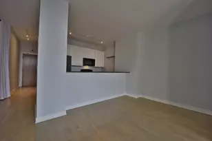 233 E 13th St, Chicago, IL 60605 - Photo 6