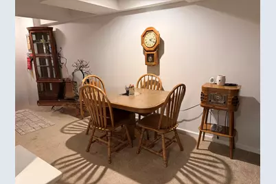 804 Deerpath Lane, Elwood, IL 60421 - Photo 18