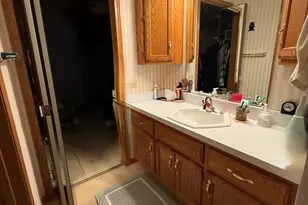 804 Deer Path Ln, Elwood, IL 60421 - Photo 12