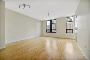 1255 S State St, Chicago, IL 60605 - Photo 16