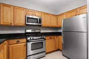 407 S Oak Park Ave, Oak Park, IL 60302 - Photo 12