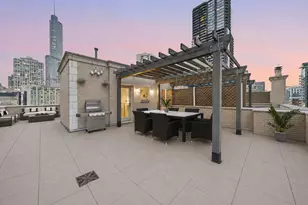 55 E Erie St, Chicago, IL 60611 - Photo 34