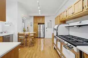 232 E Walton Pl, Chicago, IL 60611 - Photo 16