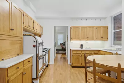 232 E Walton Place #3E, Chicago, IL 60611 - Photo 18