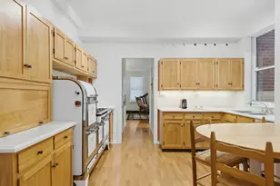 232 E Walton Pl, Chicago, IL 60611 - Photo 18