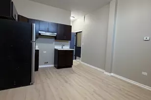 24 N Pulaski Rd, Chicago, IL 60624 - Photo 4