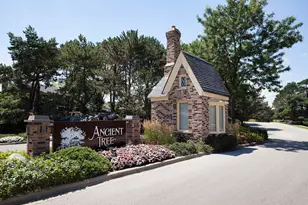 19 The Ct Of Greenway, Northbrook, IL 60062 - Photo 14