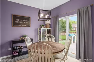 26550 W Old Farm Trail, Channahon, IL 60410 - Photo 16