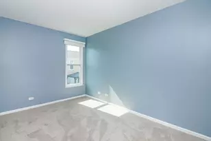 7320 Trent Rd, Downers Grove, IL 60516 - Photo 12