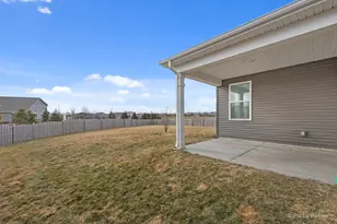 927 Plateau Dr, Pingree Grove, IL 60140 - Photo 32