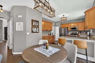 736 Briarcliff Dr, Minooka, IL 60447 - Photo 20
