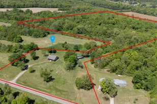 1580 Reevesville Rd, Grantsburg, IL 62943 - Photo 2