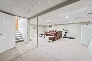 8226 Millbank Dr, Orland Park, IL 60462 - Photo 22