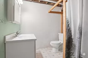 13 Wild Cherry Ln, Palos Park, IL 60464 - Photo 26