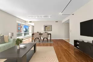 57 E Delaware Pl, Chicago, IL 60611 - Photo 10