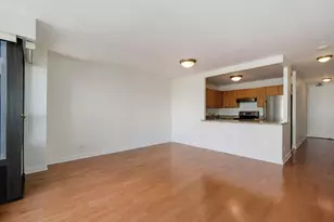 30 E Huron St, Chicago, IL 60611 - Photo 6