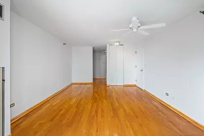 111 W Maple Street #1807, Chicago, IL 60610 - Photo 12