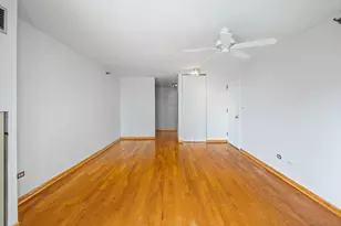 111 W Maple St, Chicago, IL 60610 - Photo 12