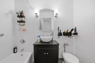 21 W Goethe St, Chicago, IL 60610 - Photo 12