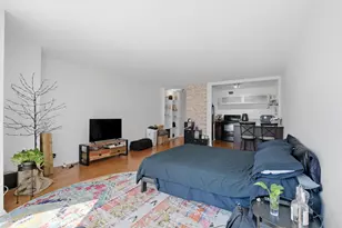 21 W Goethe St, Chicago, IL 60610 - Photo 6