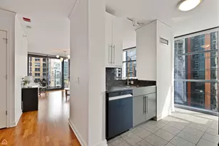 201 N Westshore Dr, Chicago, IL 60601 - Photo 8