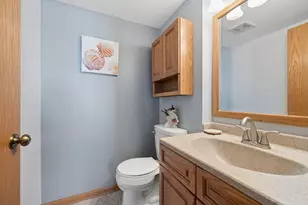 18230 Eagle Dr, Tinley Park, IL 60477 - Photo 14