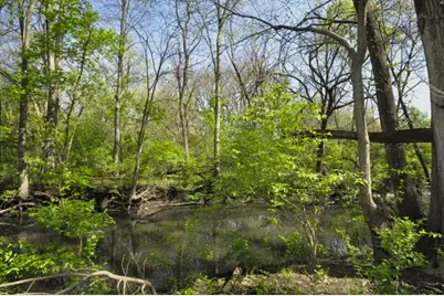 508 E Bronson Street, Streator, IL 61364 - Photo 40