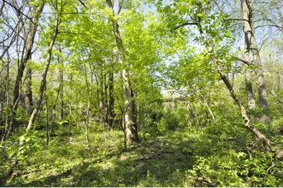508 E Bronson Street, Streator, IL 61364 - Photo 46