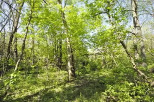 508 E Bronson St, Streator, IL 61364 - Photo 46