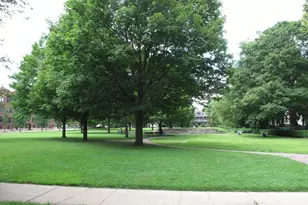 911 Maple Ave, Evanston, IL 60202 - Photo 26