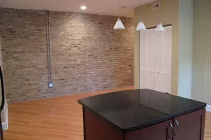 911 Maple Ave, Evanston, IL 60202 - Photo 14