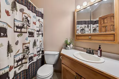 18854 S Palomino Court, Shorewood, IL 60404 - Photo 18
