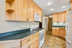 223 S Grant St, Westmont, IL 60559 - Photo 6