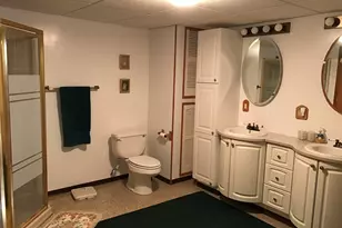 117 Chickasaw Ln, Loda, IL 60948 - Photo 20