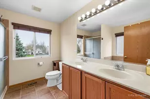 987 Valley Stream Dr, Pingree Grove, IL 60140 - Photo 16