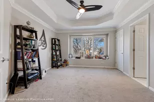 11 Loblolly Ct, Lemont, IL 60439 - Photo 28
