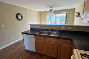 1405 Hidden Grove Cir, Joliet, IL 60435 - Photo 4