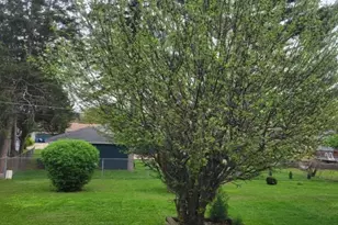 45 Concord Ave, South Elgin, IL 60177 - Photo 22
