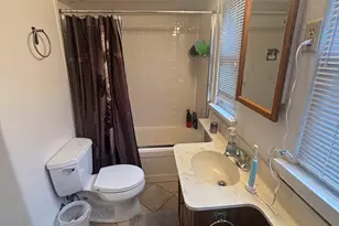 290 W Elm Park Ave, Elmhurst, IL 60126 - Photo 16
