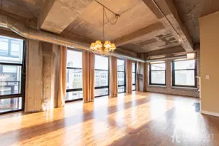 1069 W 14th Pl, Chicago, IL 60608 - Photo 2
