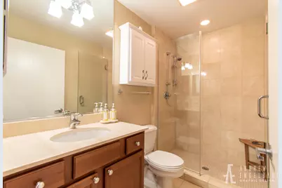 1069 W 14th Place #301, Chicago, IL 60608 - Photo 14