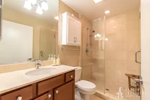 1069 W 14th Pl, Chicago, IL 60608 - Photo 14