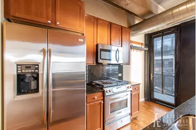1069 W 14th Place #301, Chicago, IL 60608 - Photo 8